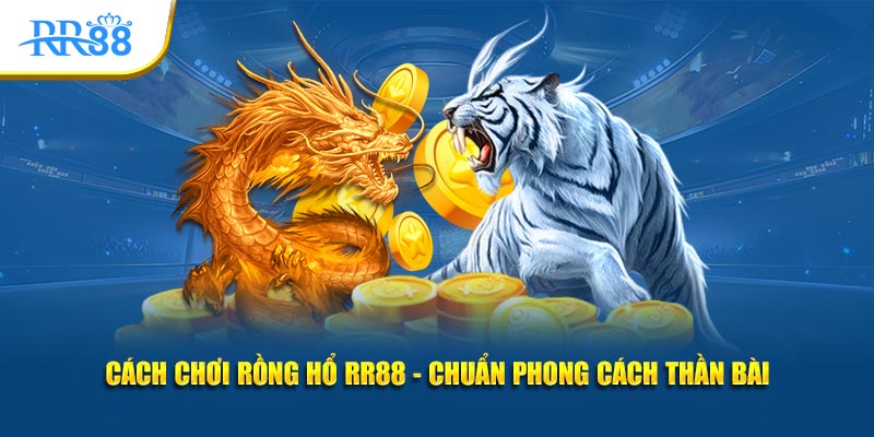 Cách chơi rồng hổ rr88 chuẩn phong cách thần bài